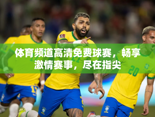体育频道高清免费球赛，畅享激情赛事，尽在指尖