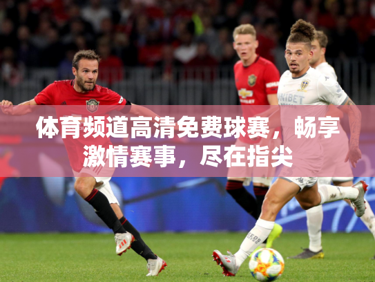 体育频道高清免费球赛，畅享激情赛事，尽在指尖