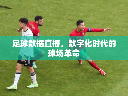 足球数据直播，数字化时代的球场革命