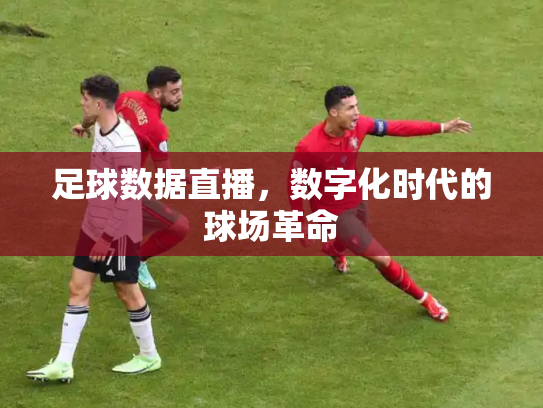 足球数据直播，数字化时代的球场革命