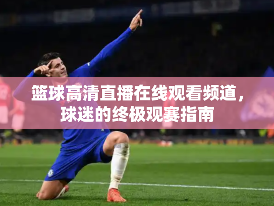 篮球高清直播在线观看频道，球迷的终极观赛指南
