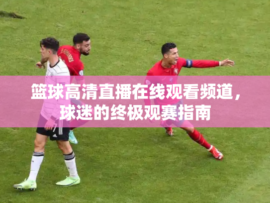 篮球高清直播在线观看频道，球迷的终极观赛指南