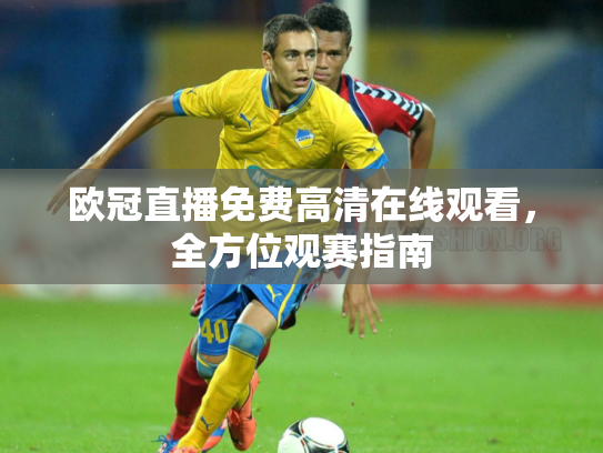 欧冠直播免费高清在线观看，全方位观赛指南