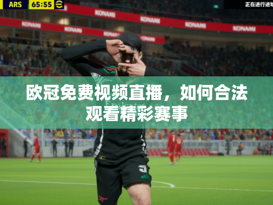 欧冠免费视频直播，如何合法观看精彩赛事