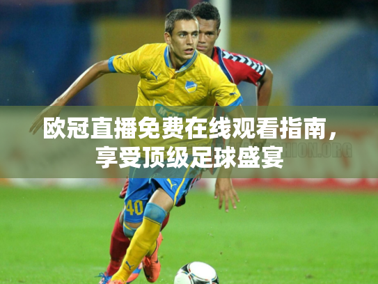 欧冠直播免费在线观看指南，享受顶级足球盛宴