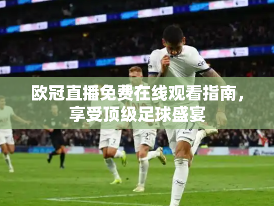 欧冠直播免费在线观看指南，享受顶级足球盛宴