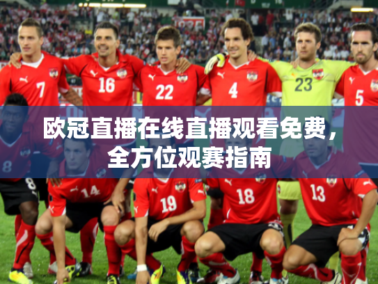 欧冠直播在线直播观看免费，全方位观赛指南