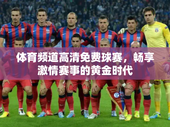 体育频道高清免费球赛，畅享激情赛事的黄金时代