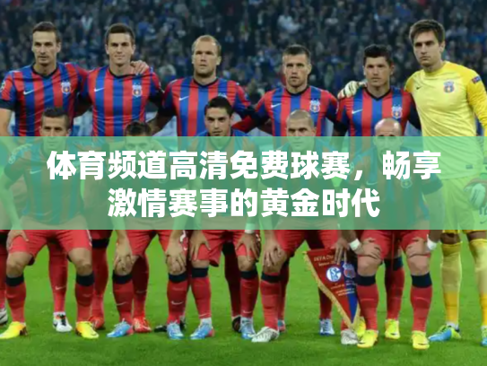 体育频道高清免费球赛，畅享激情赛事的黄金时代