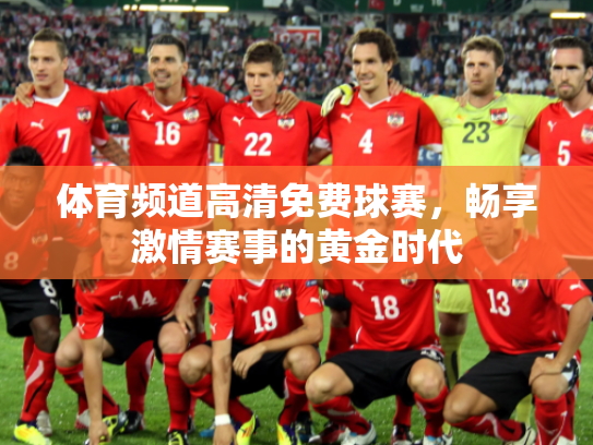 体育频道高清免费球赛，畅享激情赛事的黄金时代