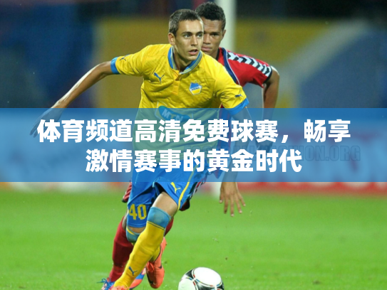 体育频道高清免费球赛，畅享激情赛事的黄金时代
