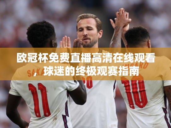 欧冠杯免费直播高清在线观看，球迷的终极观赛指南