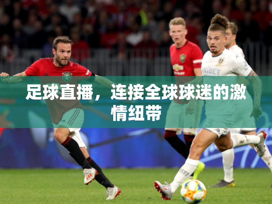 足球直播，连接全球球迷的激情纽带