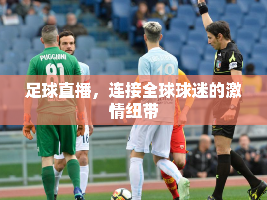 足球直播，连接全球球迷的激情纽带