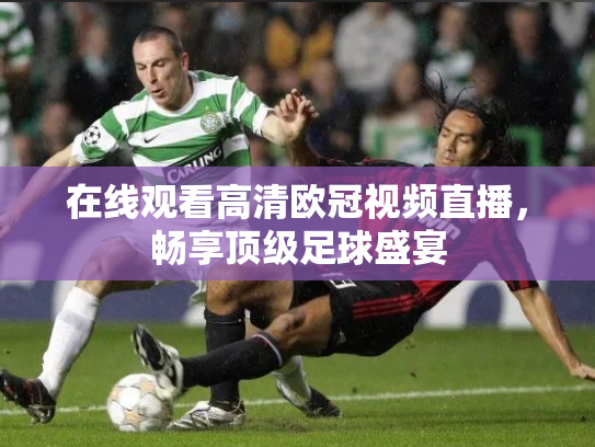 在线观看高清欧冠视频直播，畅享顶级足球盛宴