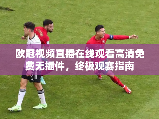 欧冠视频直播在线观看高清免费无插件，终极观赛指南