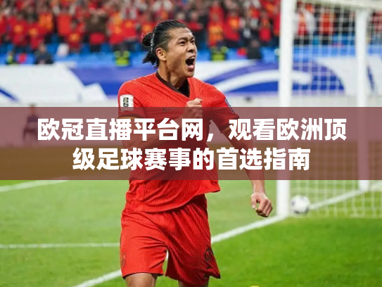 欧冠直播平台网，观看欧洲顶级足球赛事的首选指南