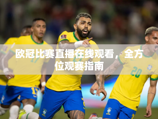 欧冠比赛直播在线观看，全方位观赛指南