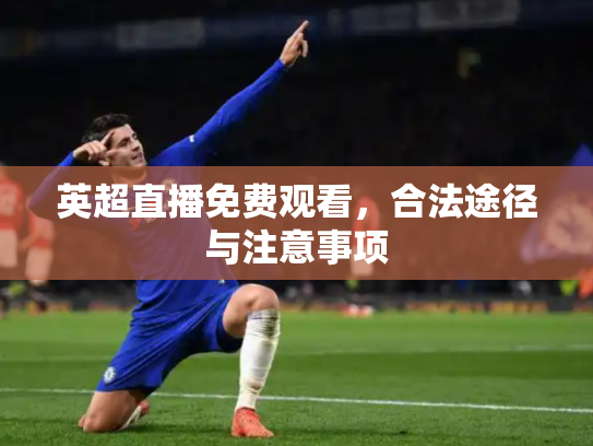 英超直播免费观看，合法途径与注意事项