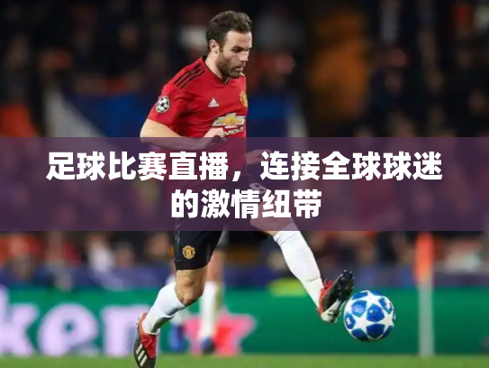 足球比赛直播，连接全球球迷的激情纽带