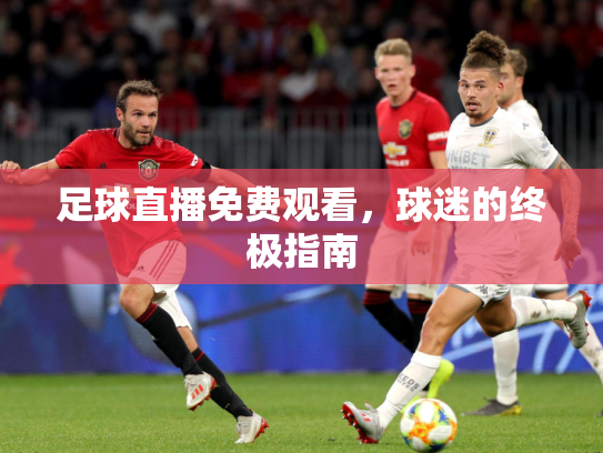 足球直播免费观看，球迷的终极指南