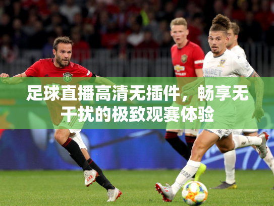 足球直播高清无插件，畅享无干扰的极致观赛体验