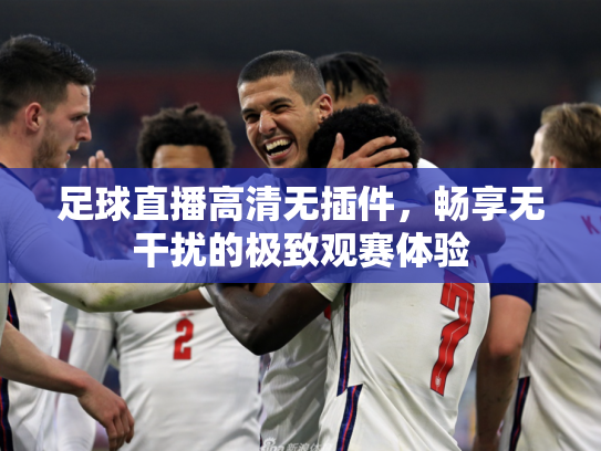 足球直播高清无插件，畅享无干扰的极致观赛体验