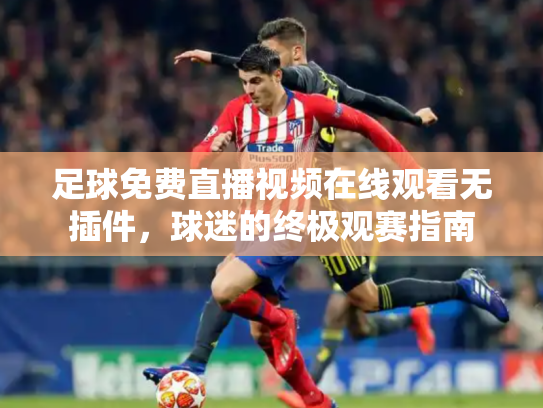 足球免费直播视频在线观看无插件，球迷的终极观赛指南