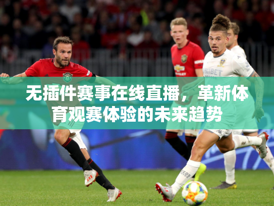 无插件赛事在线直播，革新体育观赛体验的未来趋势