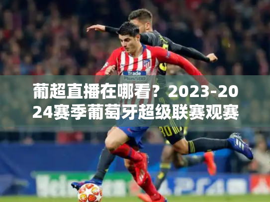 葡超直播在哪看？2023-2024赛季葡萄牙超级联赛观赛指南