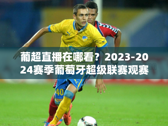 葡超直播在哪看？2023-2024赛季葡萄牙超级联赛观赛指南