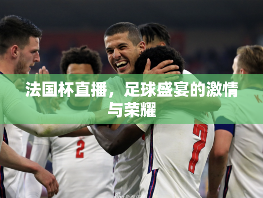 法国杯直播，足球盛宴的激情与荣耀