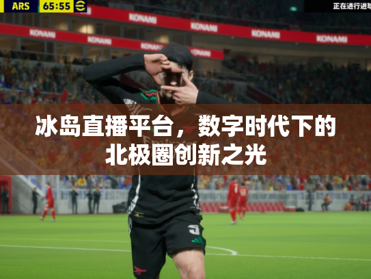 冰岛直播平台，数字时代下的北极圈创新之光