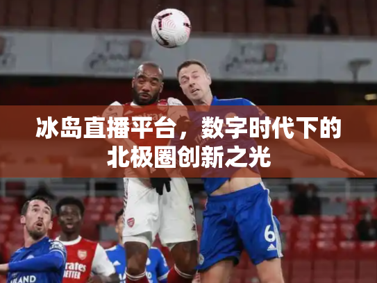 冰岛直播平台，数字时代下的北极圈创新之光