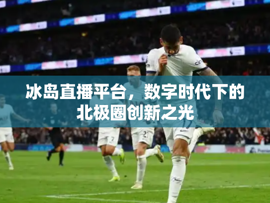 冰岛直播平台，数字时代下的北极圈创新之光