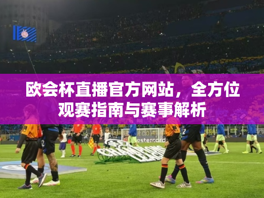 欧会杯直播官方网站，全方位观赛指南与赛事解析
