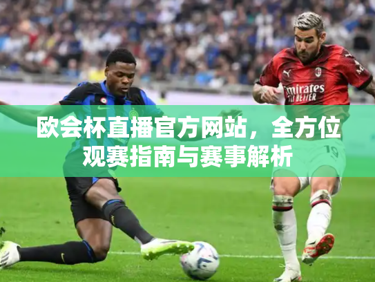 欧会杯直播官方网站，全方位观赛指南与赛事解析