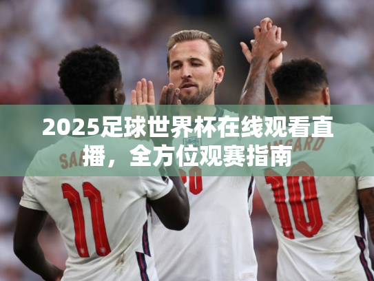 2025足球世界杯在线观看直播，全方位观赛指南