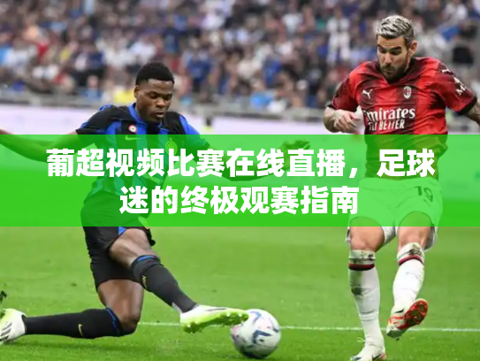 葡超视频比赛在线直播，足球迷的终极观赛指南