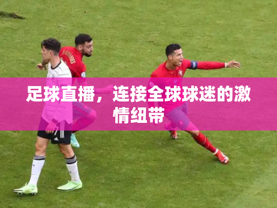 足球直播，连接全球球迷的激情纽带