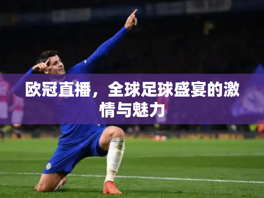 欧冠直播，全球足球盛宴的激情与魅力