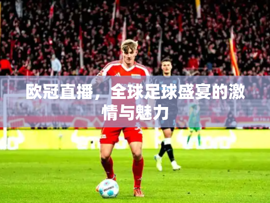 欧冠直播，全球足球盛宴的激情与魅力