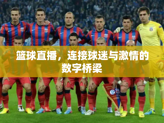 篮球直播，连接球迷与激情的数字桥梁