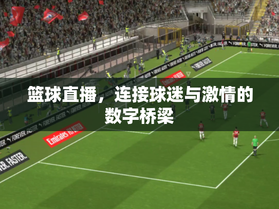 篮球直播，连接球迷与激情的数字桥梁