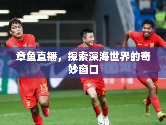 章鱼直播，探索深海世界的奇妙窗口