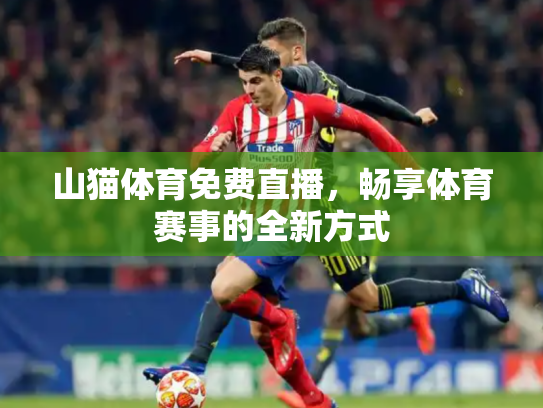 山猫体育免费直播，畅享体育赛事的全新方式