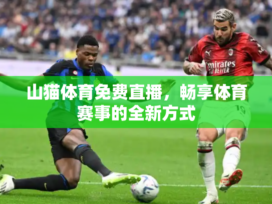 山猫体育免费直播，畅享体育赛事的全新方式