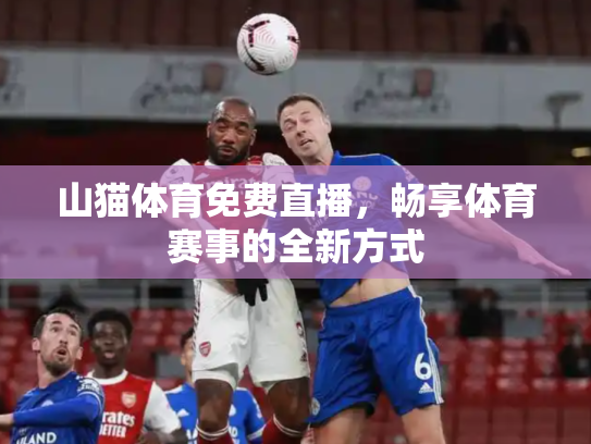 山猫体育免费直播，畅享体育赛事的全新方式