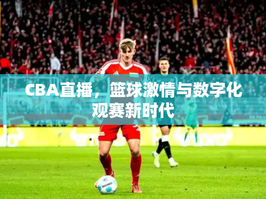 CBA直播，篮球激情与数字化观赛新时代
