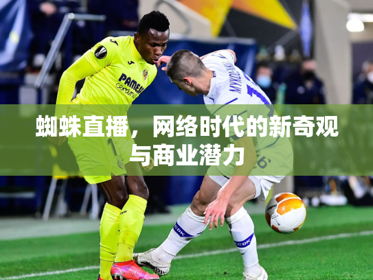 蜘蛛直播，网络时代的新奇观与商业潜力